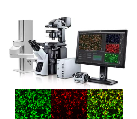 间接荧光免疫平台